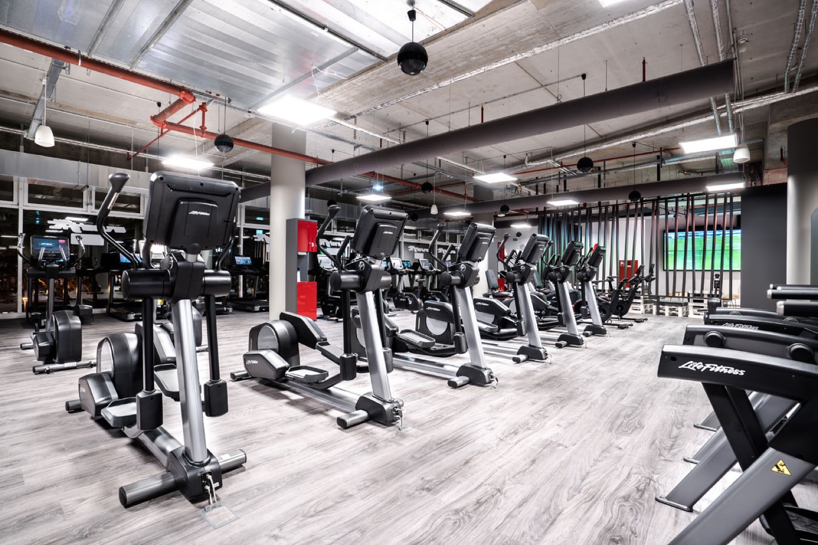 VO₂ Max: Dein Turbo für mehr Ausdauer und Fitness